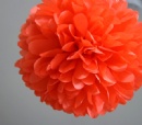 Tissue Paper Flower Balls